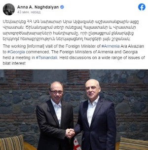 Встреча глав МИД Армении и Грузии: грузинская сторона сообщает о неофициальном, а армянская сторона о рабочем визите