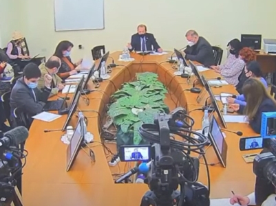 Armenia parliament committee on inquiry into government actions in fight against coronavirus elects chairman