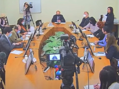 Оппозиционный депутат пояснила «Моему шагу» смысл создания комиссии по COVID-19