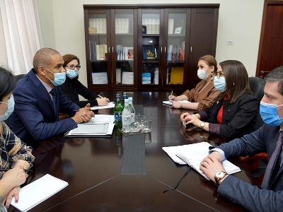 Armenia deputy justice minister, CoE Office in Yerevan representative discuss creation of anti-corruption courts