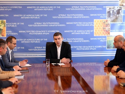 Արցախի պետնախարարը ներկայացրել է էկոնոմիկայի և գյուղատնտեսության նորանշանակ նախարարին