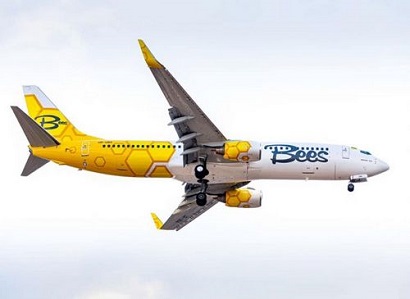 Новый украинский лоукостер Bees Airline свяжет Одессу и Львов с Ереваном