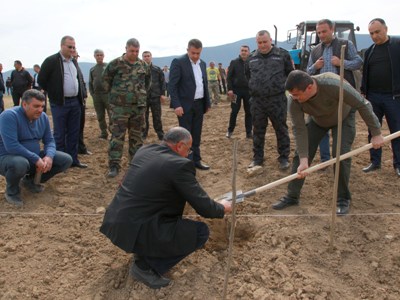 Արայիկ Հարությունյանը Նախիջևանիկում մասնակցել է նոր այգու տնկման աշխատանքների մեկնարկին
