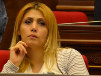 Փաշինյանը նեղացնում է հումանիտար միջանցքը. Էլինար Վարդանյան