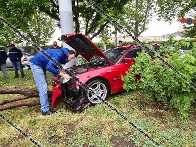 30-ամյա վարորդը BMW-ով Ազատության պողոտայում տապալել է ծառն ու հայտնվել կանաչ գոտում