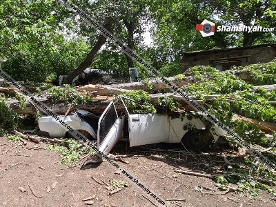 Օշականում քամու հետևանքով բարդին տապալվել է․ բակում կայանված ավտոմեքենաները մետաղե ջարդոնի են վերածվել