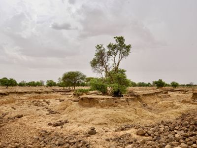 UN condemns "heinous attack" in Burkina Faso