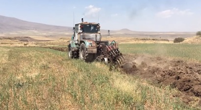 Շիրակում այս տարի կործանարար երաշտ է, գյուղացին հայտնվել է աներանելի վիճակում. Վահան Թումասյան (վիդեո)