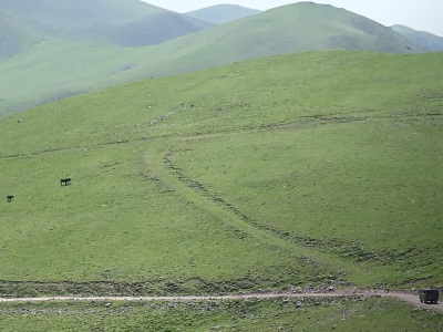 Armenia Ombudsman: Azeri soldiers steal 3 horned animals from minor son of shepherd in Khnatsakh village