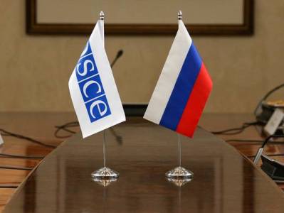 Russian delegation to OSCE Parliamentary Assembly boycotts session