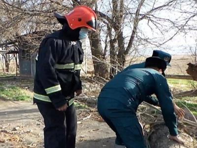 На улице Ширака в Ереване дерево упало и частично перекрыло проезжую часть дороги