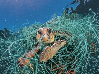 Пластик убивает морских черепах