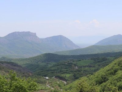 Armenia Ombudsman: Azerbaijani servicemen stole 8 cows and 1 bull belonging to 3 families of Syunik Province's villages