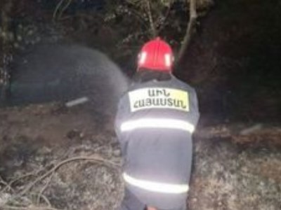 «Ջրվեժ» անտառպարկում 3,5 հա անտառածածկ տարածք է այրվել