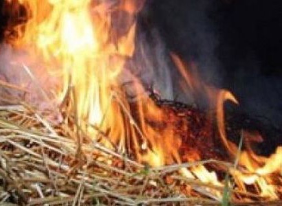 Шесть жилых домов сгорели из-за жары в Болгарии