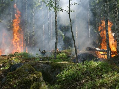 Во Франции эвакуировали несколько тысяч человек из-за лесного пожара