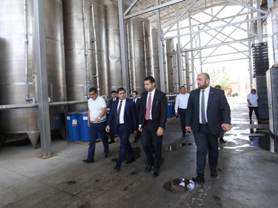 Փոխվարչապետ Սուրեն Պապիկյանն Արմավիրում ծանոթացել է խաղողի մթերման գործընթացին