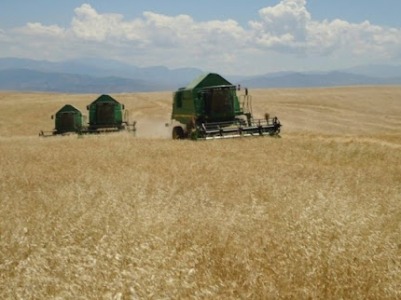 Ադրբեջանի ԶՈւ-ի կողմից Արցախում բերքահավք իրականացնող քաղաքացիների վրա կրակելու գործը վարույթ է ընդունվել