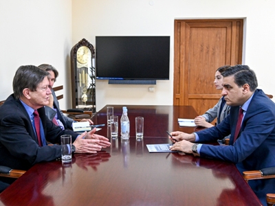 Armenia Ombudsman receives US ex-Ambassador, presents Azerbaijan's violations of borderline residents' rights
