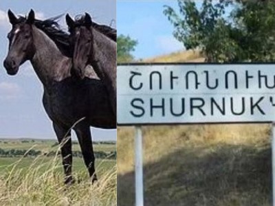 11 horses of resident of Armenia's Shurnukh cross over into territory under Azerbaijan's control