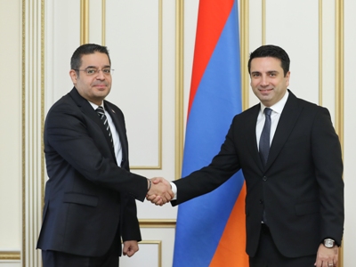 Անթույլատրելի ու մերժելի է 44-օրյա պատերազմում վարձկանների և ահաբեկիչների ներգրավումը. Սիրիայի դեսպանը՝ Ալեն Սիմոնյանին