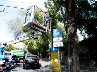 Երևանում մեկնարկել է ծառերի աշնանային էտը. Էտվում են նաև ճանապարհային երթևեկության նշաններին խանգարող ճյուղերը