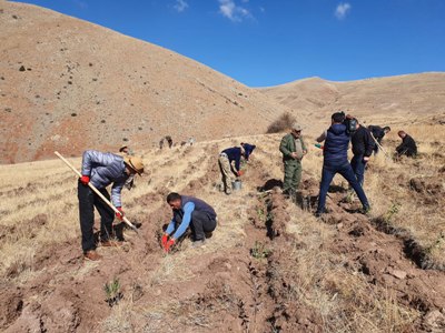 Գործընկերություն՝ հանուն բնապահպանության. Գնիշիկ բնակավայրում  վայրի ծառատեսակներ են տնկվել (ֆոտո)