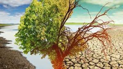 Երկրի կլիմայի փոփոխության արագությունը 24 000 տարվա վաղեմության ռեկորդ է սահմանել