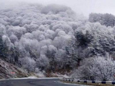 Գորիսում ու Մեղրիի լեռնանցքում մառախուղ է. տեսանելիությունը՝ 60-70 մետր. Նաեւ թույլ ձյուն է տեղում