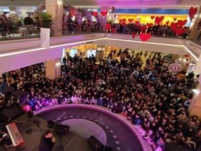 Директор крупнейшего в Армении ТЦ оштрафован за нарушение при организации массового мероприятия