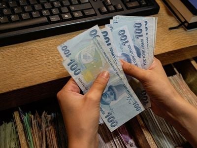 Турецкая лира зафиксировала очередное позорное падение