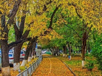 Եղանակը Հայաստանում