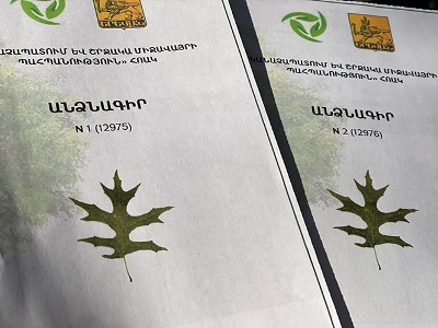 Планируется создать реестр деревьев Еревана