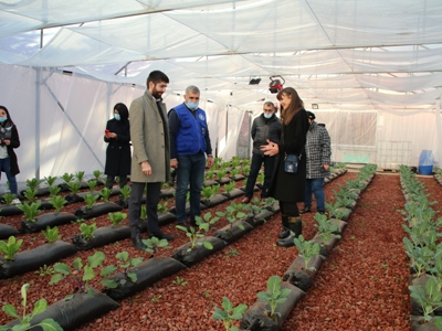 Հայաստանի տարբեր մարզերի դպրոցներում ներդրվում են ժամանակակից ջերմատներ և ինտենսիվ այգիներ. Էկոնոմիկայի նախարարություն