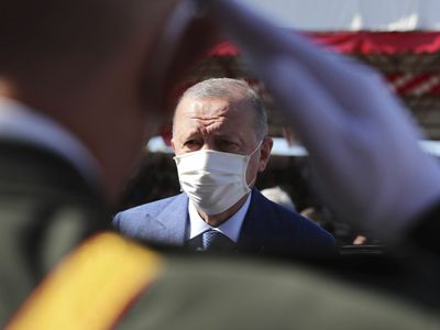 Турецкая оппозиция: Эрдоган и Бахчели решили пойти на внеочередные выборы