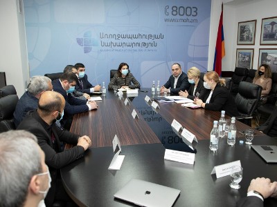 Armenia health minister receives leaders of several Russian companies