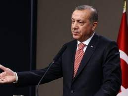 Erdogan presents model for Turkey's development next year