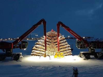 Christmas tree of 3,000 logs built in Karelia