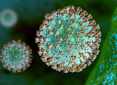 Post-COVID-19 antibodies may attack healthy cells, scientists say