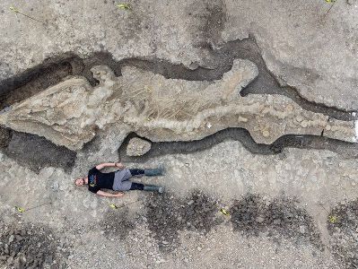 Останки 10-метрового доисторического существа обнаружили во время плановых работ