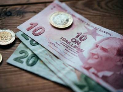 Турецкая лира ослабла почти на 3% за сутки