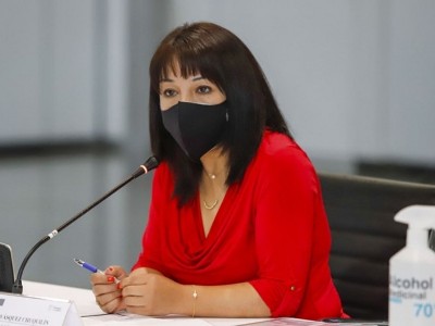 Председатель правительства Перу заразилась коронавирусом