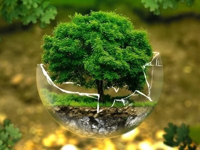 20 richest countries in world must more than double their annual spending on protecting, restoring nature