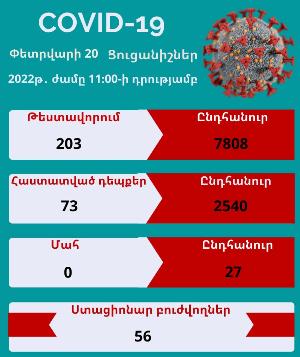 Արցախում հաստատվել է կորոնավիրուսով վարակվելու 73 դեպք