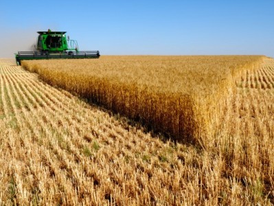 Russia reduces wheat exports