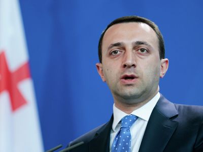 Protest in Tbilisi demanding PM's resignation over Ukraine stance