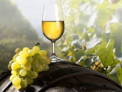 В марте состоится онлайн церемония вручения премии Wine Travel Awards