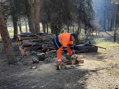 Բարեկարգում են Բերդի «Սորաններ» դենդրոպարկը
