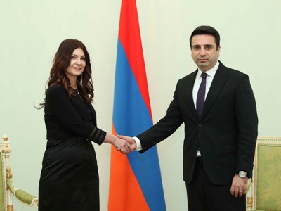 Հայաստանում Սերբիայի նոր դեսպանն իր հավատարմագրեր է հանձնել Ալեն Սիմոնյանին