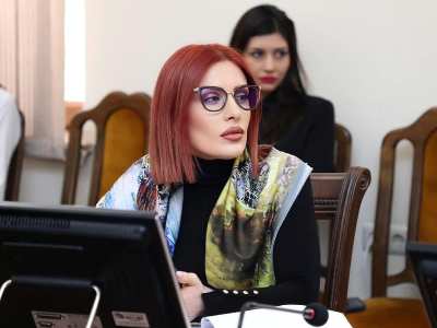 Հատուկ դժվար հասկացողների համար՝ Ստամբուլյան խարտիան Ադրբեջանի տարածքային ամբողջականության մասին չէ. Խամոյան